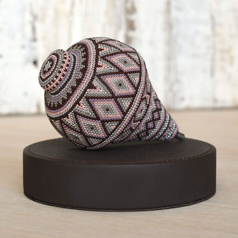 trompo huichol